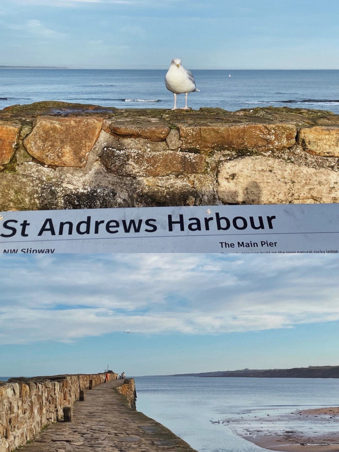 包含圣安德鲁斯球场主场战胜福斯特格林，取得胜利的词条